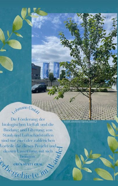 Grün statt Grau